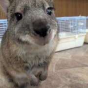 さな✖1【モデル系美女】 ☁ やん姫SP