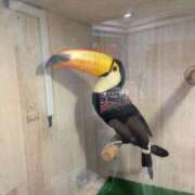 ヒメ日記 2025/12/15 13:57 投稿 さな✖1【モデル系美女】 やん姫SP