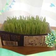 ヒメ日記 2025/05/01 18:33 投稿 道枝ゆうな 禁断のメンズエステR-18堺・南大阪店