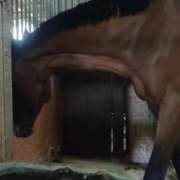 ヒメ日記 2025/05/14 20:54 投稿 道枝ゆうな 禁断のメンズエステR-18堺・南大阪店