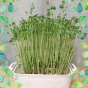 ヒメ日記 2025/05/19 20:04 投稿 道枝ゆうな 禁断のメンズエステR-18堺・南大阪店