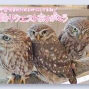 ヒメ日記 2025/09/12 18:44 投稿 道枝ゆうな 禁断のメンズエステR-18堺・南大阪店