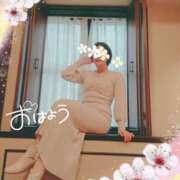 ヒメ日記 2025/11/20 06:34 投稿 道枝ゆうな 禁断のメンズエステR-18堺・南大阪店