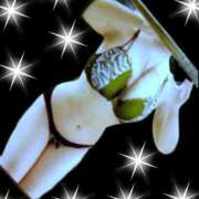 ヒメ日記 2025/04/03 12:35 投稿 山川　ゆめ ソープランド蜜 人妻・美熟女専門店