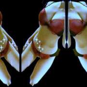 ヒメ日記 2025/09/02 12:22 投稿 山川　ゆめ ソープランド蜜 人妻・美熟女専門店