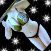 ヒメ日記 2025/12/26 13:02 投稿 山川　ゆめ ソープランド蜜 人妻・美熟女専門店