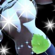 ヒメ日記 2026/02/22 17:32 投稿 山川　ゆめ ソープランド蜜 人妻・美熟女専門店