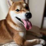 ヒメ日記 2025/01/23 10:07 投稿 なる 奥様の実話 なんば店