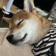 ヒメ日記 2025/02/09 23:20 投稿 なる 奥様の実話 なんば店