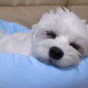 ヒメ日記 2025/02/10 23:30 投稿 なる 奥様の実話 なんば店