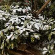 ヒメ日記 2025/02/18 23:22 投稿 なる 奥様の実話 なんば店