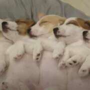 ヒメ日記 2025/02/19 01:52 投稿 なる 奥様の実話 なんば店