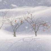 ヒメ日記 2025/02/19 22:42 投稿 なる 奥様の実話 なんば店