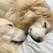 ヒメ日記 2025/02/20 00:48 投稿 なる 奥様の実話 なんば店