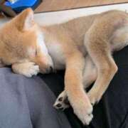 ヒメ日記 2025/03/04 01:16 投稿 なる 奥様の実話 なんば店