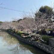 ヒメ日記 2025/04/02 14:42 投稿 なる 奥様の実話 なんば店