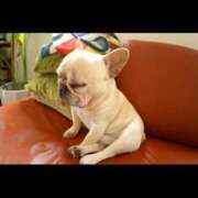 ヒメ日記 2025/04/03 23:19 投稿 なる 奥様の実話 なんば店