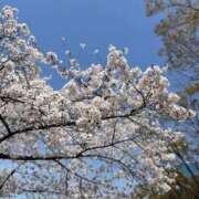 ヒメ日記 2025/04/08 21:56 投稿 なる 奥様の実話 なんば店