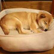 ヒメ日記 2025/07/11 00:23 投稿 なる 奥様の実話 なんば店