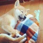 ヒメ日記 2025/07/19 00:44 投稿 なる 奥様の実話 なんば店