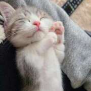 ヒメ日記 2025/07/29 08:06 投稿 なる 奥様の実話 なんば店