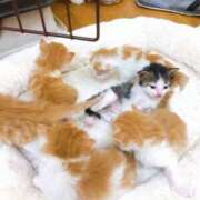 ヒメ日記 2025/08/05 00:19 投稿 なる 奥様の実話 なんば店