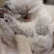 ヒメ日記 2025/08/06 00:25 投稿 なる 奥様の実話 なんば店