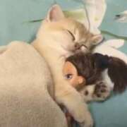 ヒメ日記 2025/08/11 01:30 投稿 なる 奥様の実話 なんば店