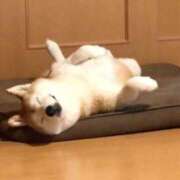 ヒメ日記 2025/08/20 00:57 投稿 なる 奥様の実話 なんば店