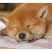 ヒメ日記 2025/08/21 01:23 投稿 なる 奥様の実話 なんば店