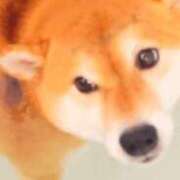 ヒメ日記 2025/09/03 23:59 投稿 なる 奥様の実話 なんば店