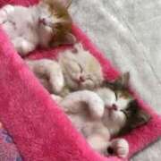 ヒメ日記 2025/09/04 23:38 投稿 なる 奥様の実話 なんば店