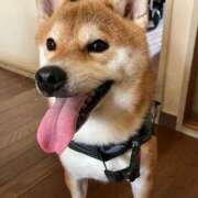 ヒメ日記 2025/09/05 19:42 投稿 なる 奥様の実話 なんば店