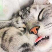 ヒメ日記 2025/09/09 23:50 投稿 なる 奥様の実話 なんば店