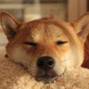 ヒメ日記 2025/09/11 00:07 投稿 なる 奥様の実話 なんば店