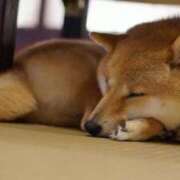 ヒメ日記 2025/09/23 00:13 投稿 なる 奥様の実話 なんば店