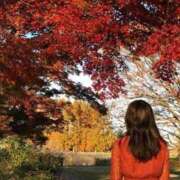 ヒメ日記 2025/09/27 15:24 投稿 なる 奥様の実話 なんば店