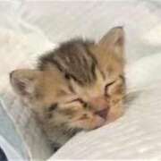 ヒメ日記 2025/09/28 00:07 投稿 なる 奥様の実話 なんば店