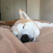 ヒメ日記 2025/10/03 01:06 投稿 なる 奥様の実話 なんば店