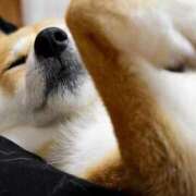 ヒメ日記 2025/10/05 00:15 投稿 なる 奥様の実話 なんば店