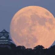 ヒメ日記 2025/10/06 16:29 投稿 なる 奥様の実話 なんば店