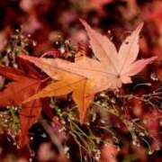 ヒメ日記 2025/10/23 23:17 投稿 なる 奥様の実話 なんば店