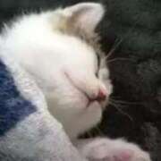 ヒメ日記 2025/10/23 23:22 投稿 なる 奥様の実話 なんば店