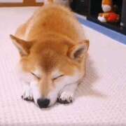 ヒメ日記 2025/11/01 23:58 投稿 なる 奥様の実話 なんば店