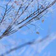 ヒメ日記 2025/11/08 22:59 投稿 なる 奥様の実話 なんば店