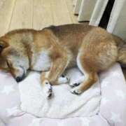 ヒメ日記 2025/11/28 00:36 投稿 なる 奥様の実話 なんば店