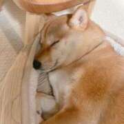 ヒメ日記 2026/01/23 00:22 投稿 なる 奥様の実話 なんば店