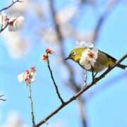 ヒメ日記 2026/02/04 22:05 投稿 なる 奥様の実話 なんば店