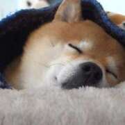 ヒメ日記 2026/02/09 00:08 投稿 なる 奥様の実話 なんば店