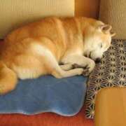 ヒメ日記 2026/02/10 00:18 投稿 なる 奥様の実話 なんば店